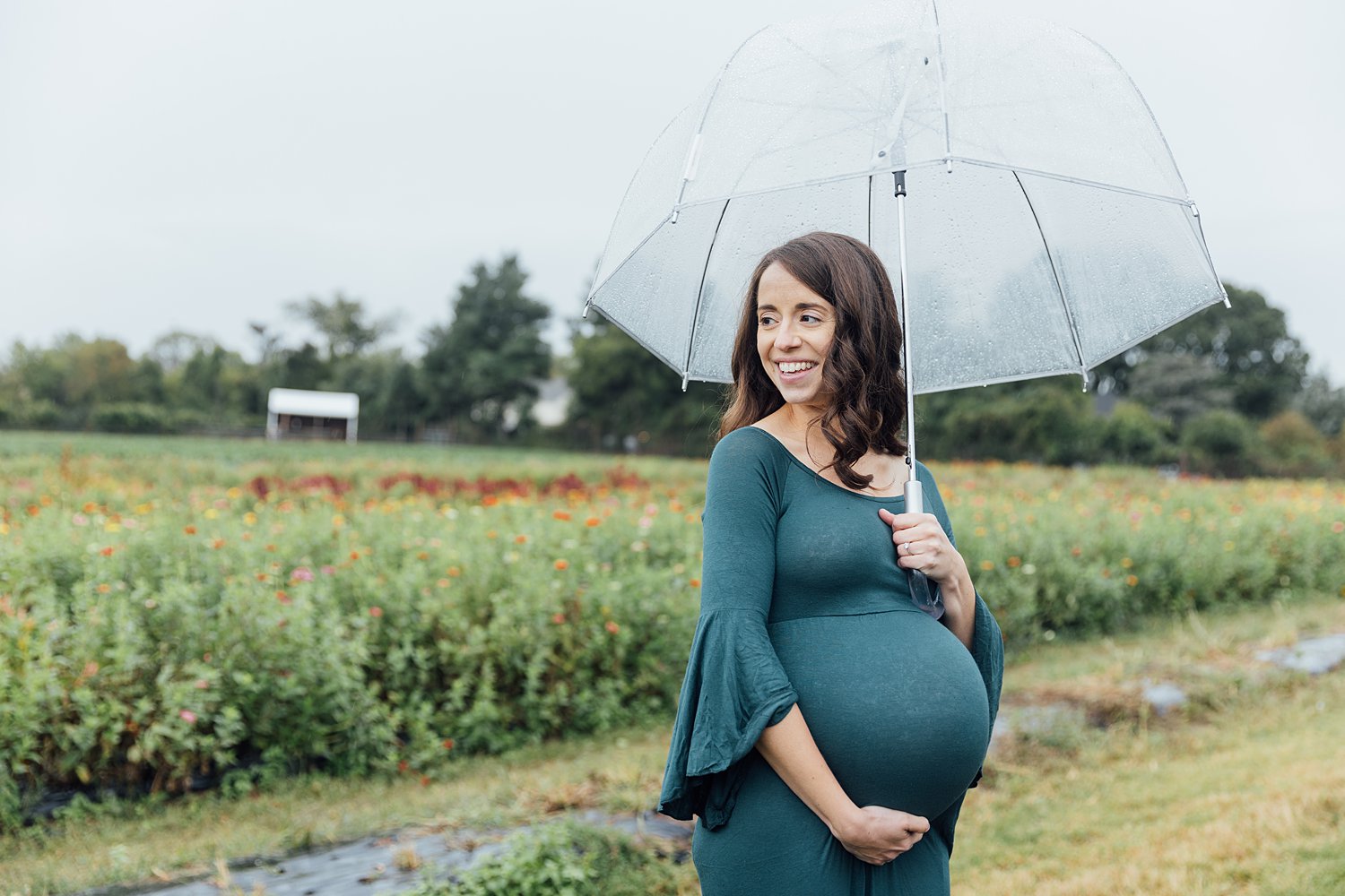 The Boczars - Maple Acres farm family session - Philadelphia wedding photographer - Alison Dunn Photography photo