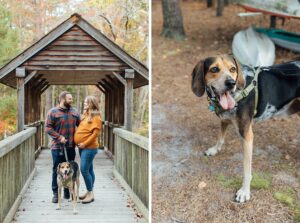 The Cambrias - Medford Maternity Session - New Jersey Family Photographer - Alison Dunn Photography photo