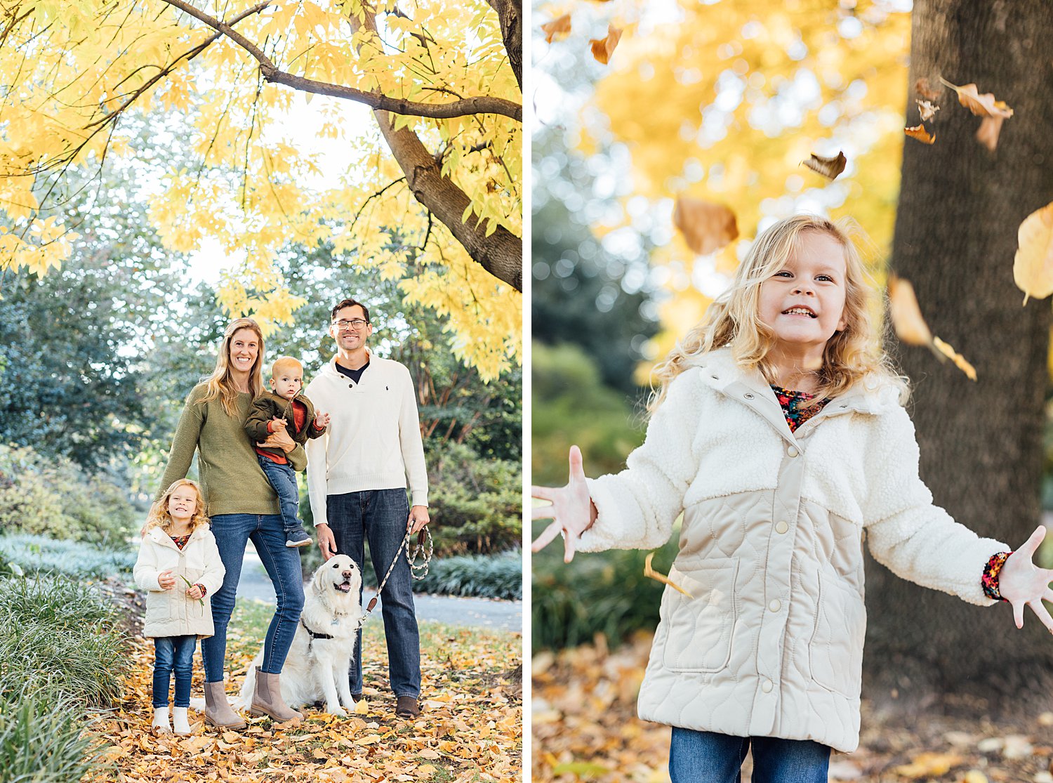 Achors Family - Fairmount Family Session - Philadelphia Family Photographer - Alison Dunn Photography photo