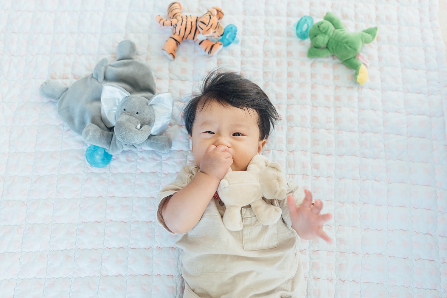 Chung Family - Greenbelt Family Session - Prince George's County Maryland Family Photographer - Alison Dunn Photography