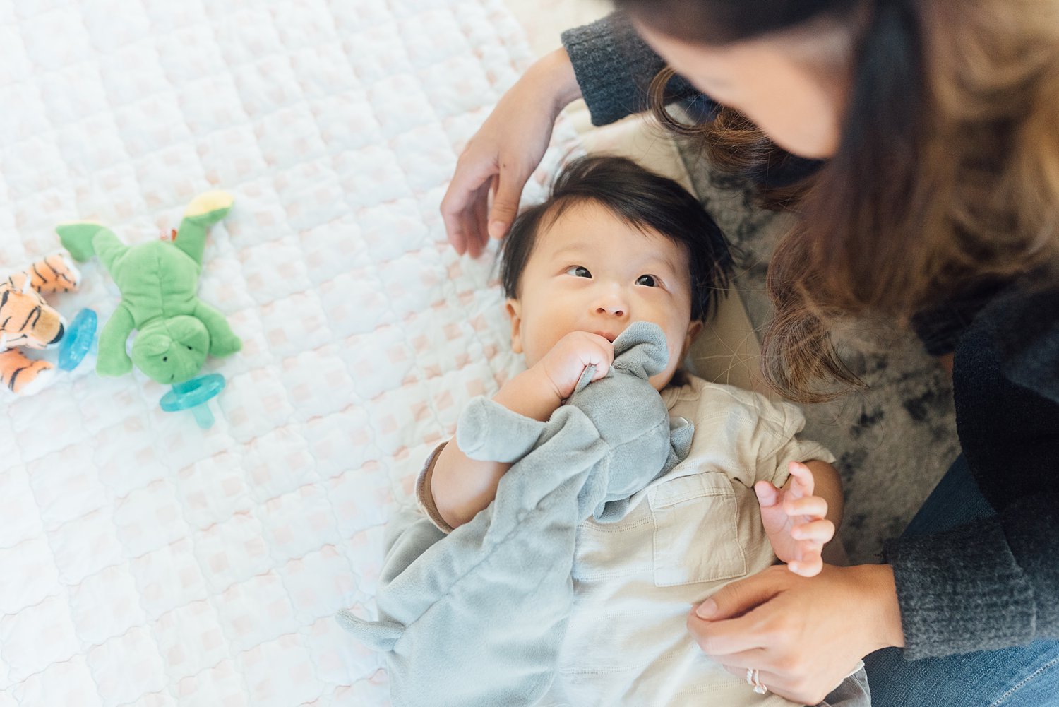 Chung Family - Greenbelt Family Session - Prince George's County Maryland Family Photographer - Alison Dunn Photography