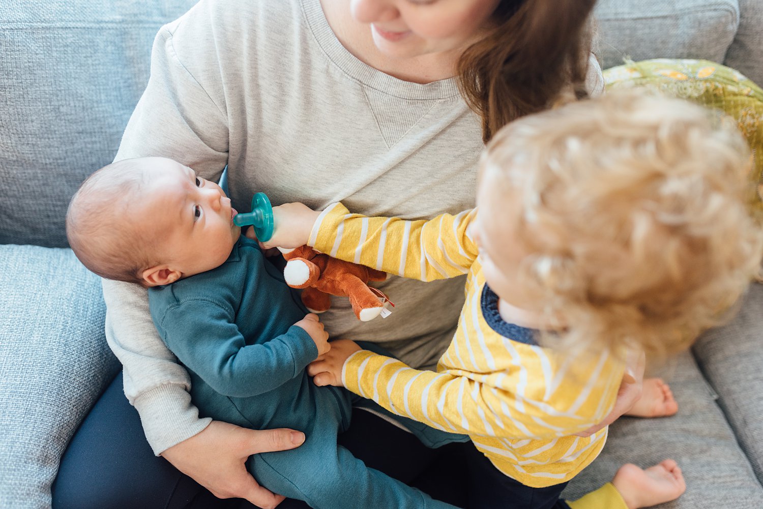 The Reznikovs - Rockville In-Home Family Session - Maryland Newborn Photographer - Alison Dunn Photography photo