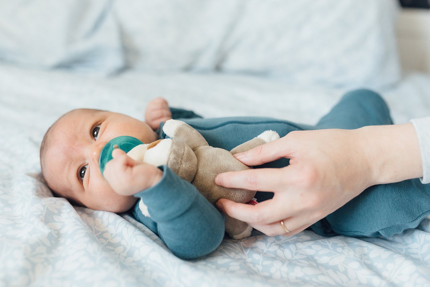 The Reznikovs - Rockville In-Home Family Session - Maryland Newborn Photographer - Alison Dunn Photography photo