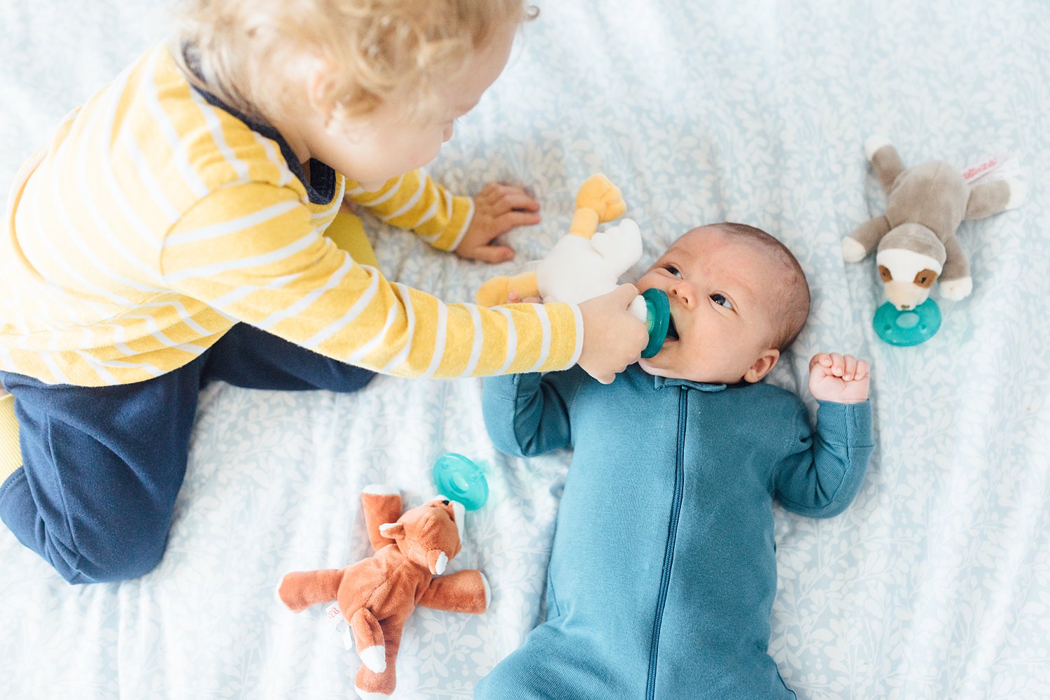 The Reznikovs - Rockville In-Home Family Session - Maryland Newborn Photographer - Alison Dunn Photography photo