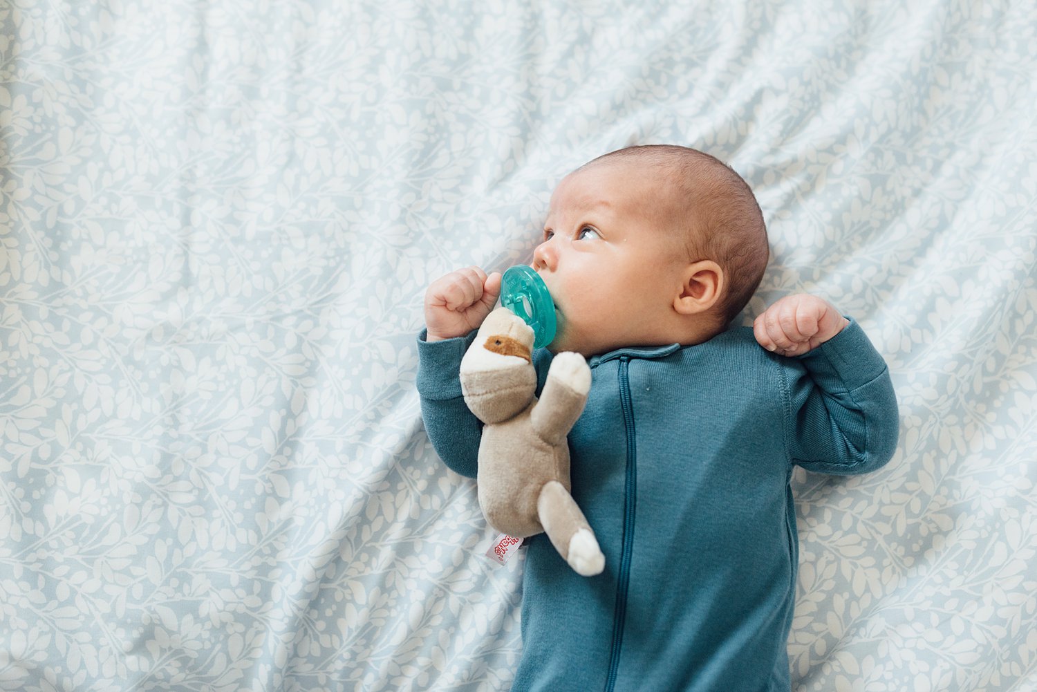 The Reznikovs - Rockville In-Home Family Session - Maryland Newborn Photographer - Alison Dunn Photography photo