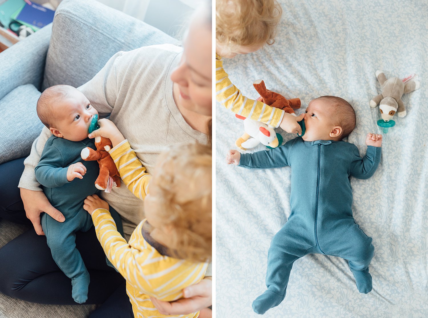 The Reznikovs - Rockville In-Home Family Session - Maryland Newborn Photographer - Alison Dunn Photography photo