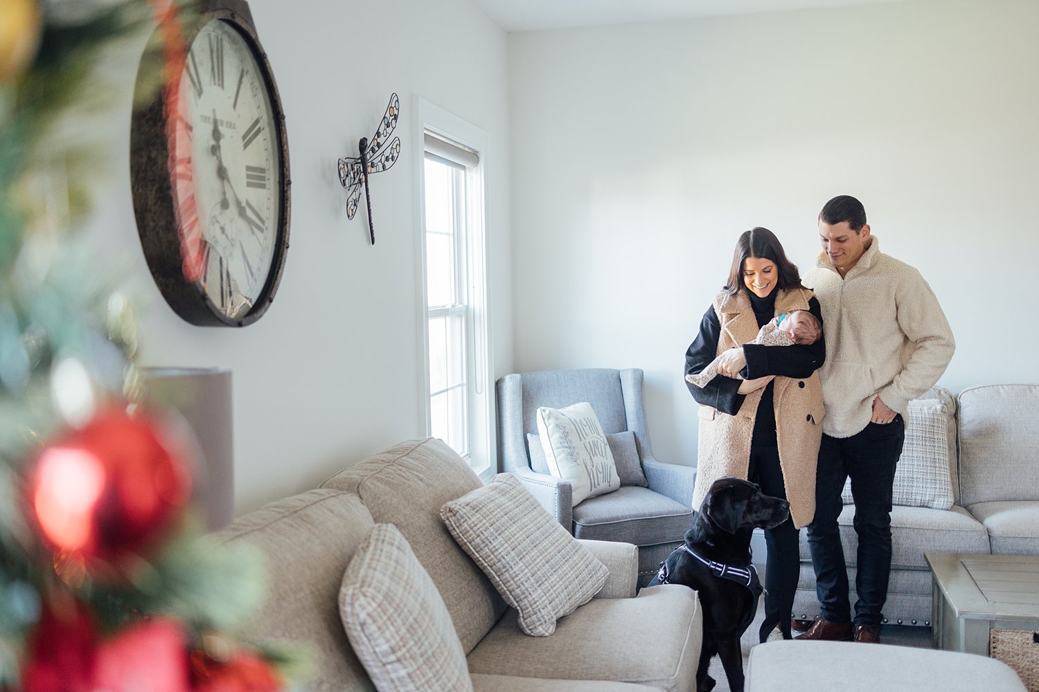 The Pellegrinis - Jenkintown Newborn Session - Philadelphia Family Photographer - Alison Dunn Photography photo