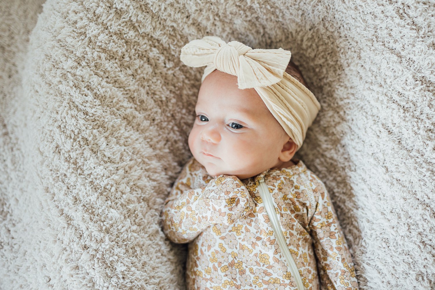 The Pellegrinis - Jenkintown Newborn Session - Philadelphia Family Photographer - Alison Dunn Photography photo