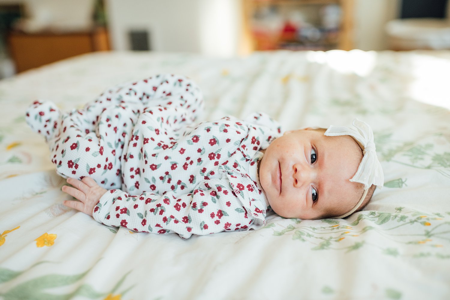 The Clarks - Philadelphia Lifestyle Newborn Session - Montgomery County Maryland family photographer - Alison Dunn Photography photo