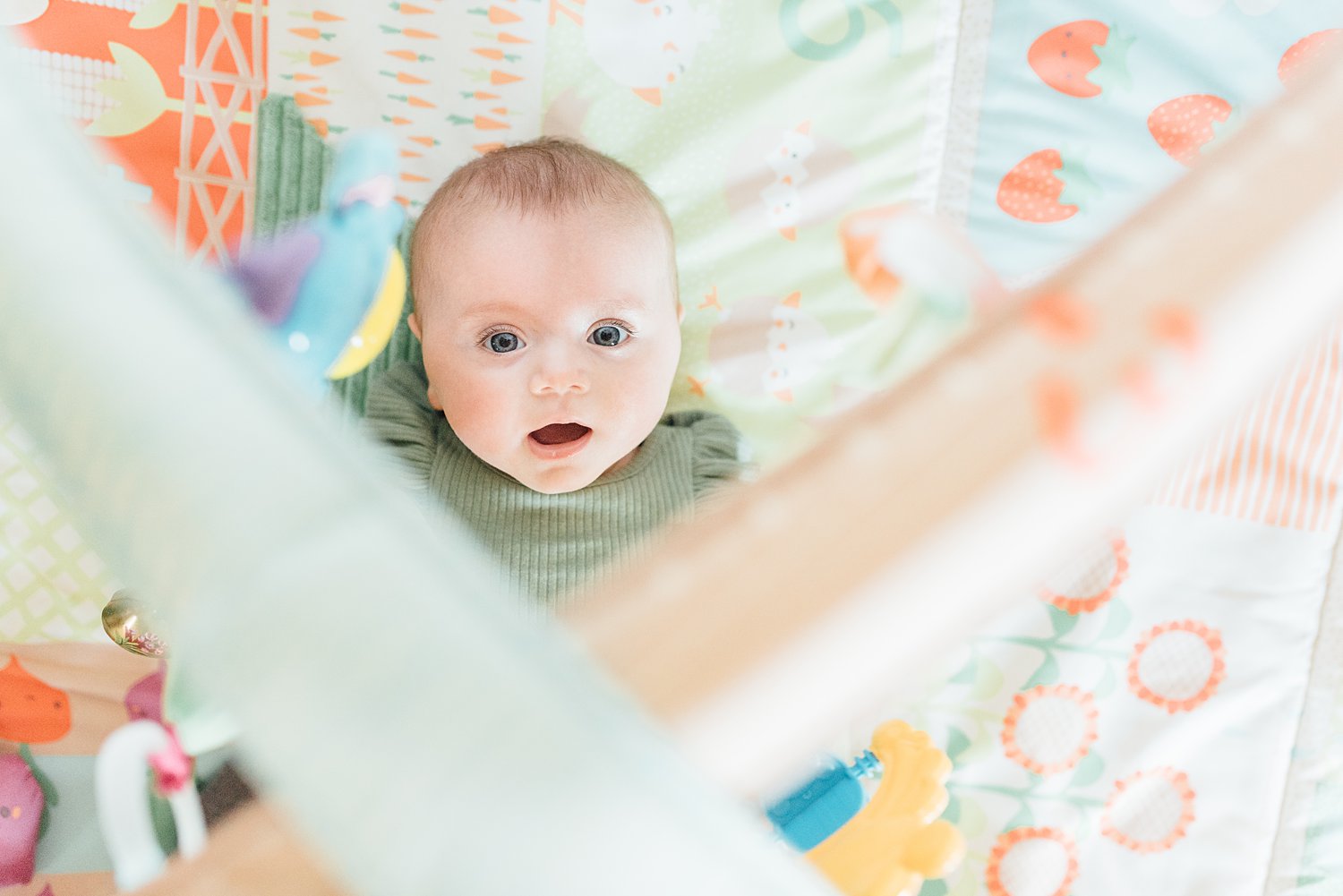 The Feldceks - Takoma Park Newborn Session - Montgomery County Maryland family photographer - Alison Dunn Photography photo