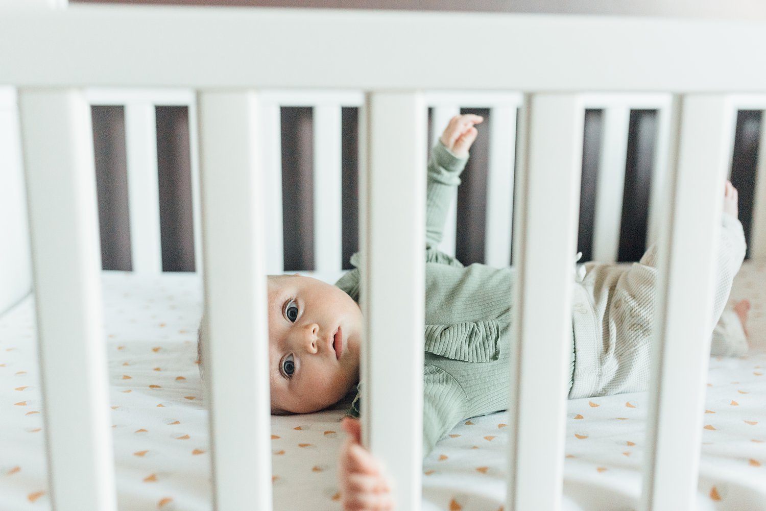 The Feldceks - Takoma Park Newborn Session - Montgomery County Maryland family photographer - Alison Dunn Photography photo