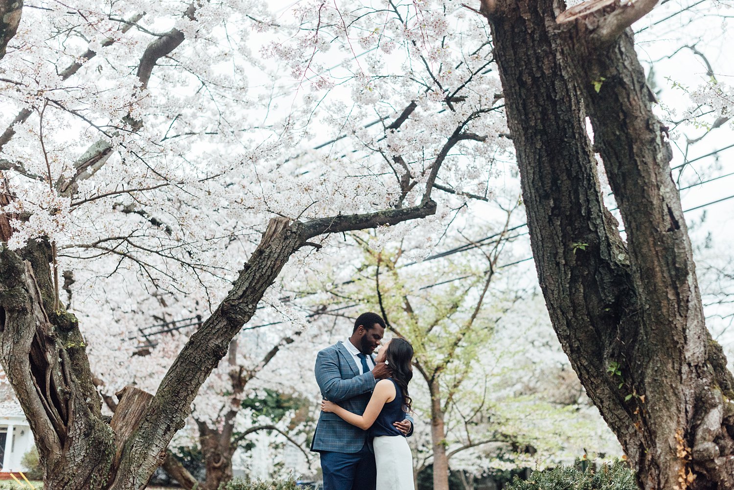 Delphanie + Andre - Kenwood Cherry Blossoms Engagement Session - Montgomery County Maryland family photographer - Alison Dunn Photography photo