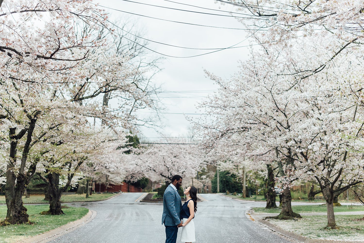 Delphanie + Andre - Kenwood Cherry Blossoms Engagement Session - Montgomery County Maryland family photographer - Alison Dunn Photography photo