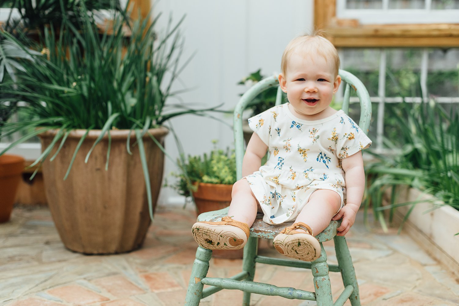 Taproot Greenhouse West Chester Mini-Sessions - Montgomery County Maryland Family Photographer - Alison Dunn Photography photo