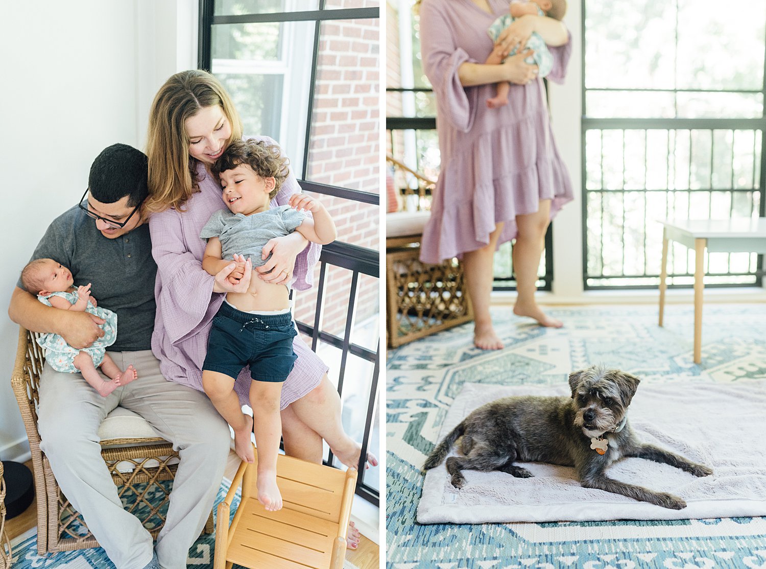 The Renderoses - Kensington Newborn Session - Montgomery County Maryland family photographer - Alison Dunn Photography photo