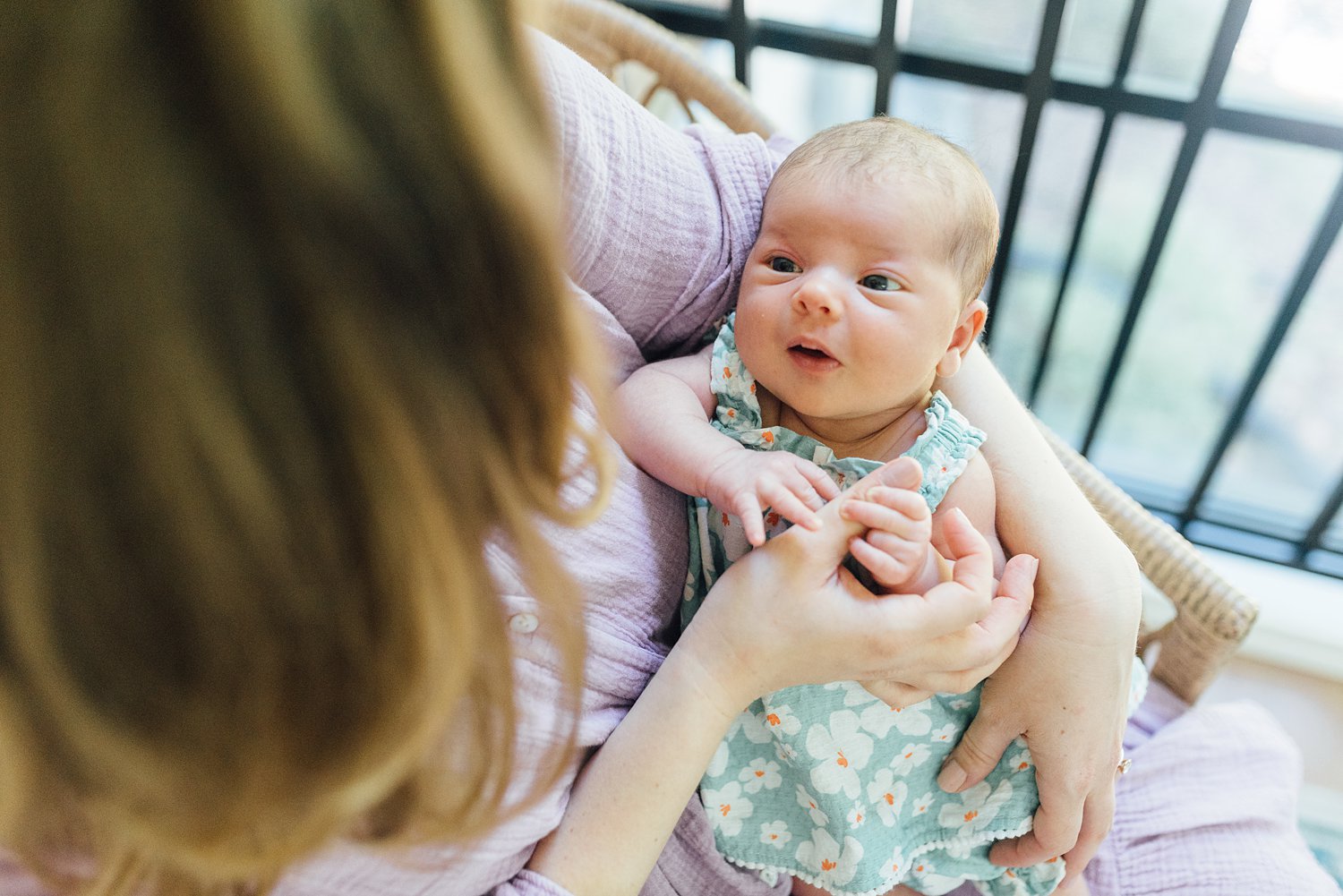 The Renderoses - Kensington Newborn Session - Montgomery County Maryland family photographer - Alison Dunn Photography photo