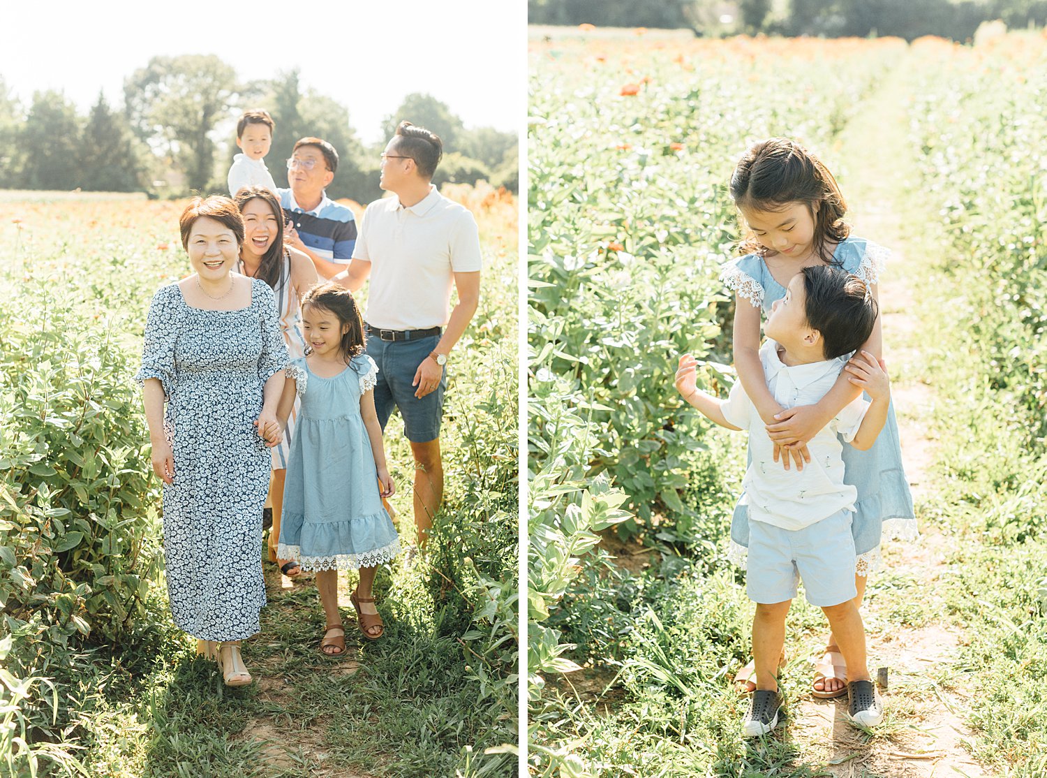 Maple Acres Mini-Sessions - Philadelphia Family Photographer - Alison Dunn Photography photo