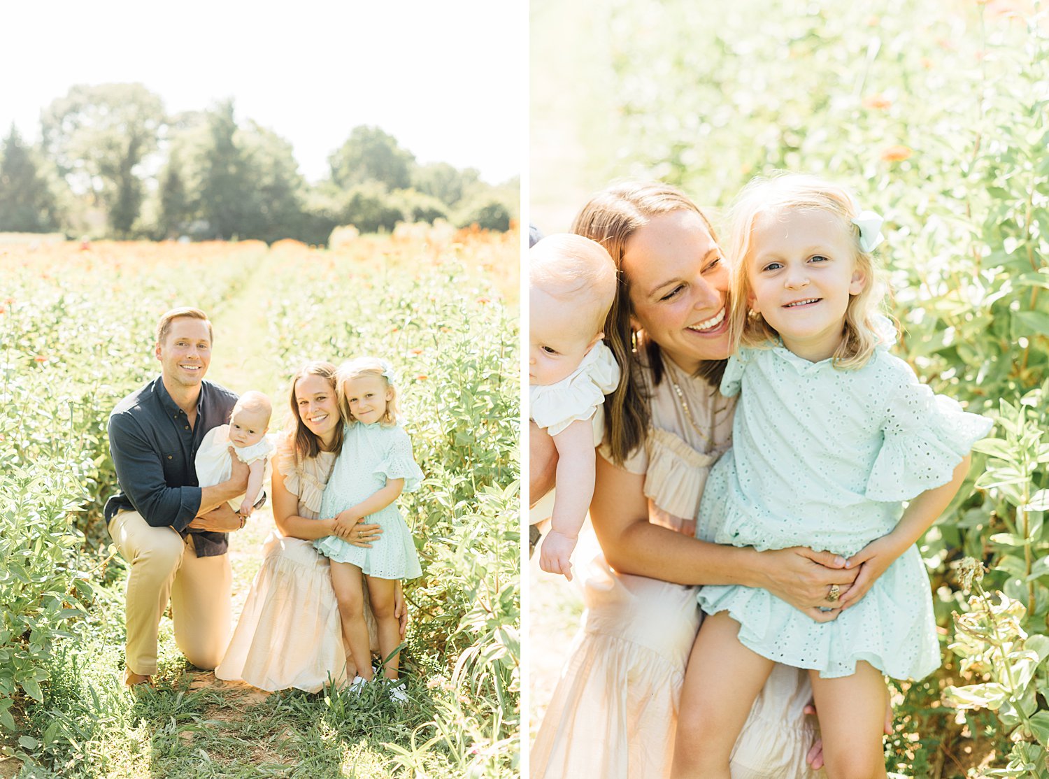 Maple Acres Mini-Sessions - Philadelphia Family Photographer - Alison Dunn Photography photo