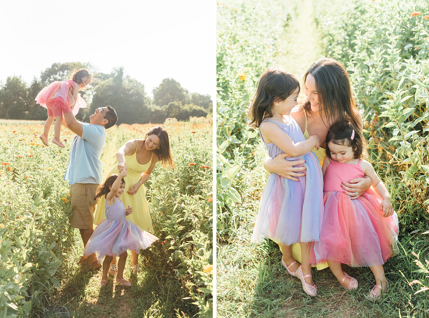 Maple Acres Mini-Sessions - Philadelphia Family Photographer - Alison Dunn Photography photo
