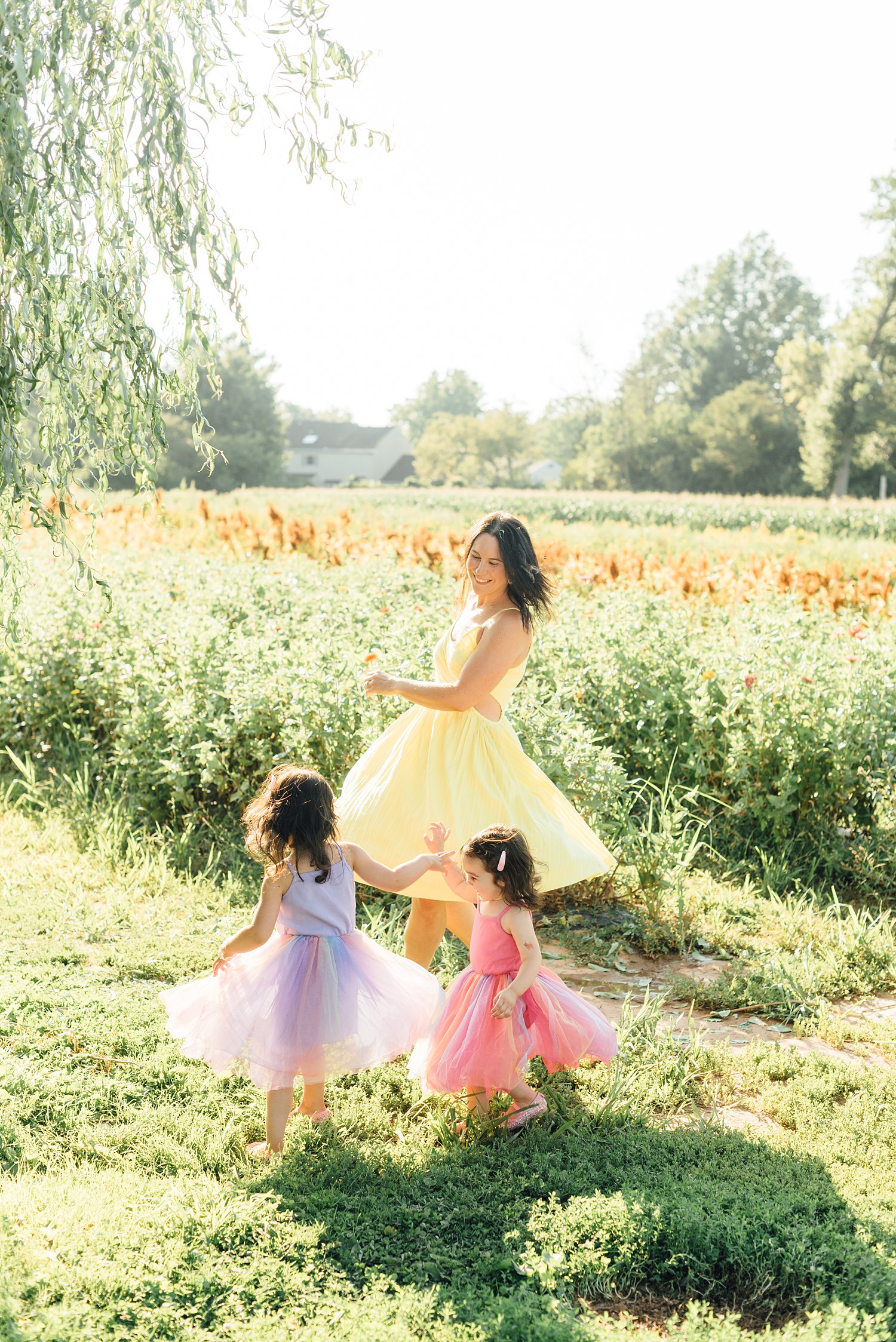 Maple Acres Mini-Sessions - Philadelphia Family Photographer - Alison Dunn Photography photo