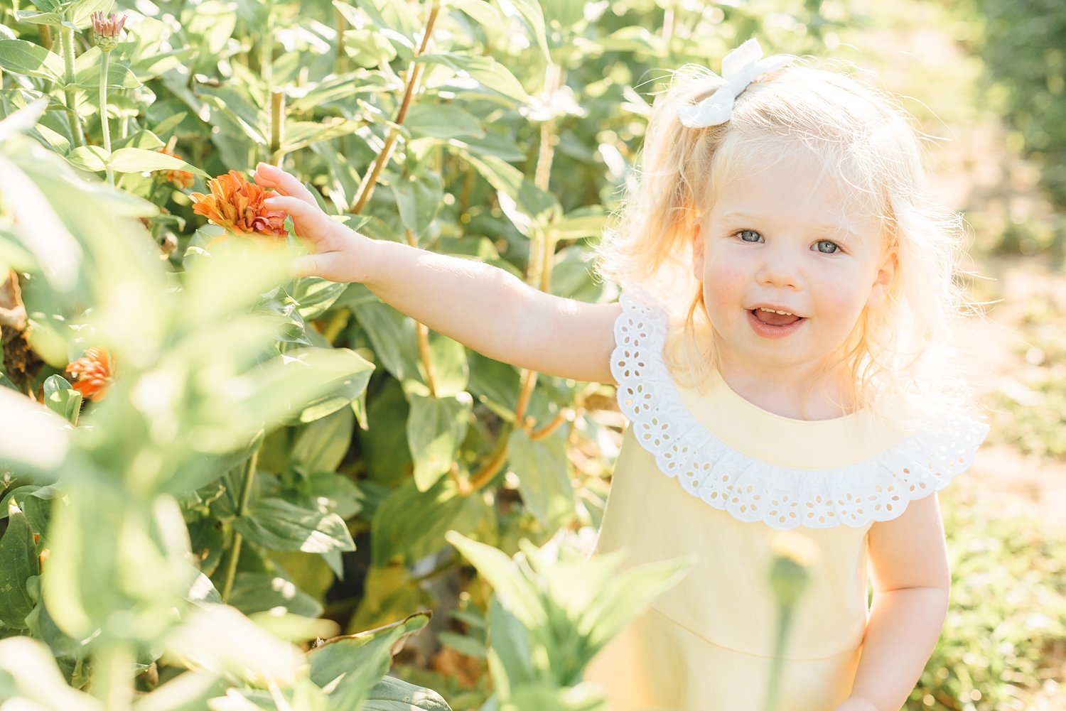 Maple Acres Mini-Sessions - Philadelphia Family Photographer - Alison Dunn Photography photo