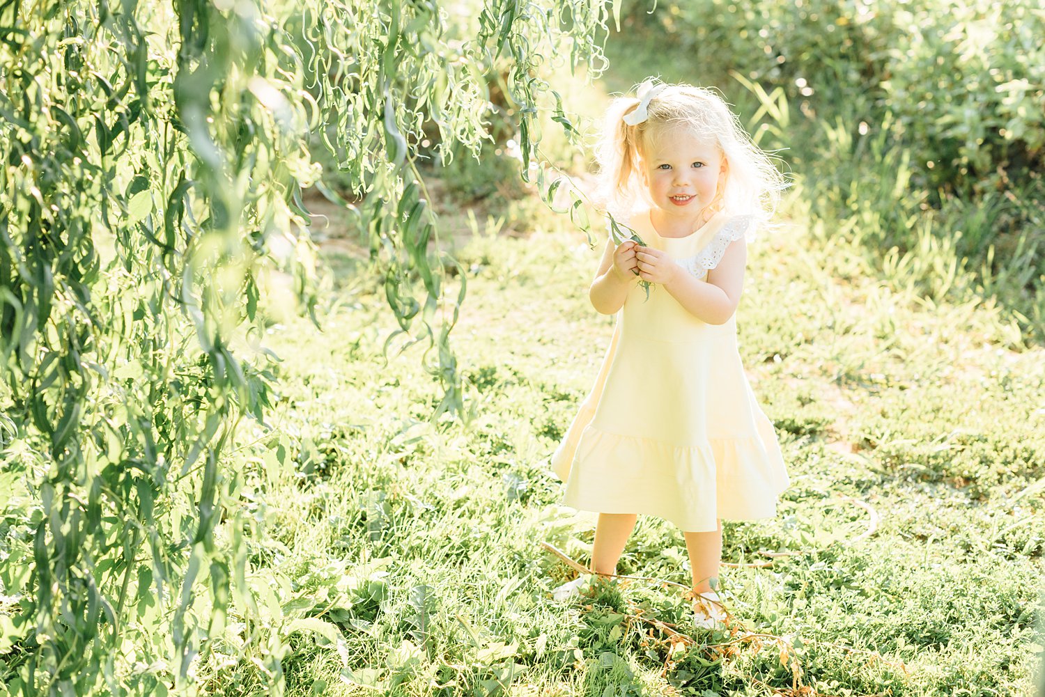 Maple Acres Mini-Sessions - Philadelphia Family Photographer - Alison Dunn Photography photo