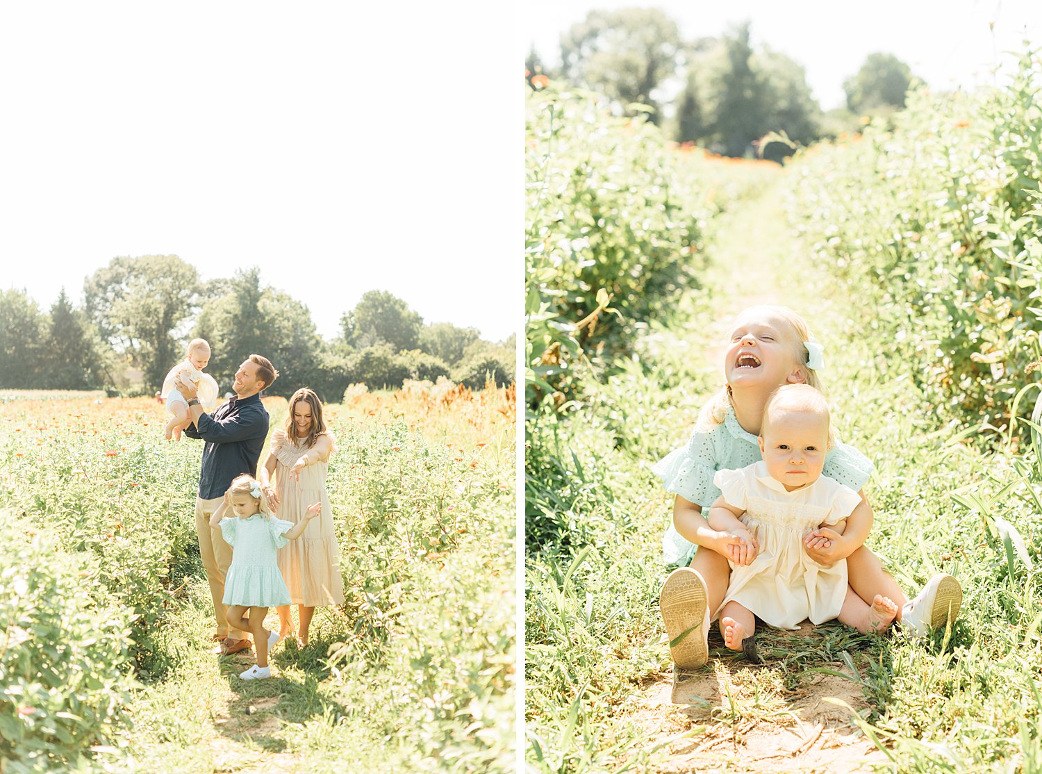 Maple Acres Mini-Sessions - Philadelphia Family Photographer - Alison Dunn Photography photo