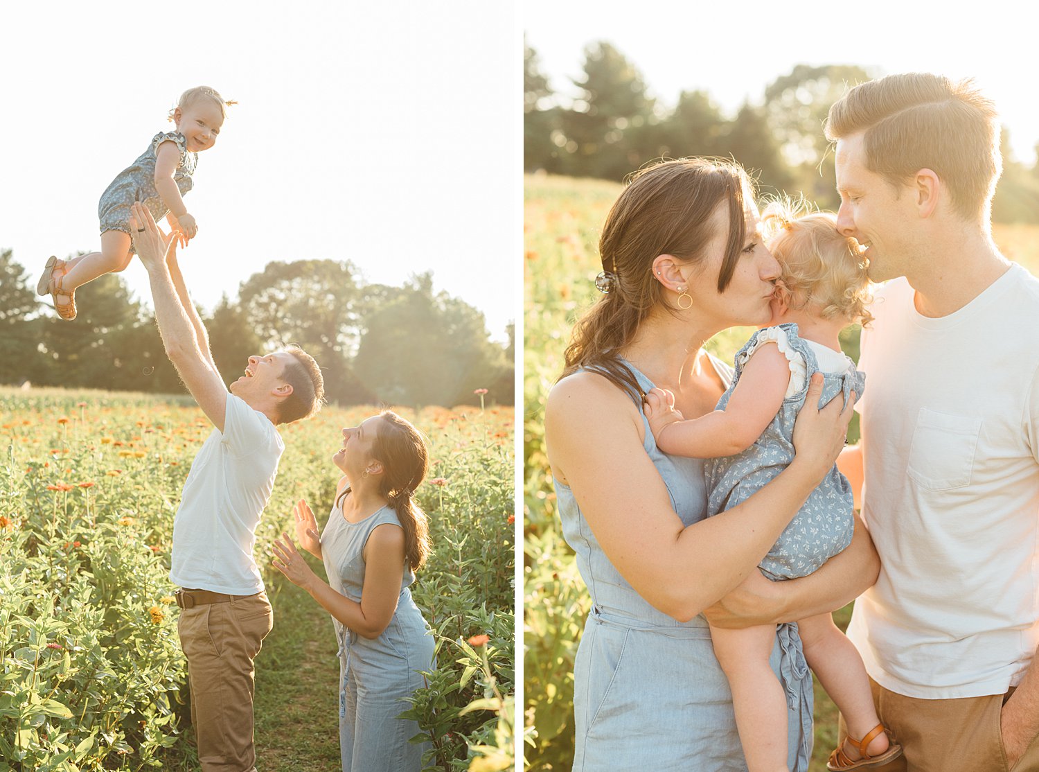 Maple Acres Mini-Sessions - Philadelphia Family Photographer - Alison Dunn Photography photo