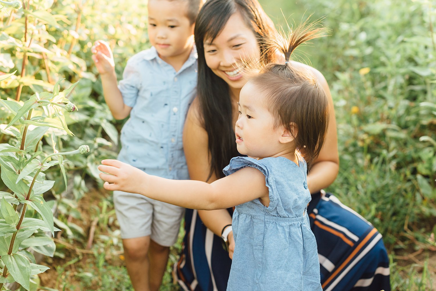 Taproot Greenhouse Mini-Sessions - West Chester Family Photographer - Alison Dunn Photography photo