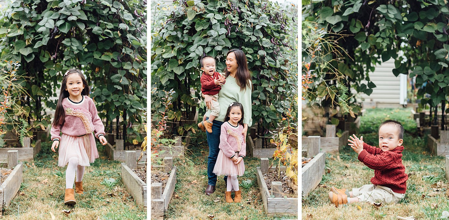 Taproot Greenhouse Mini-Sessions - West Chester Family Photographer - Alison Dunn Photography photo