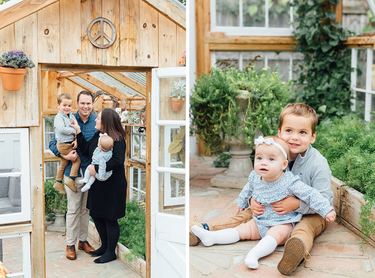 Taproot Greenhouse Mini-Sessions - West Chester Family Photographer - Alison Dunn Photography photo