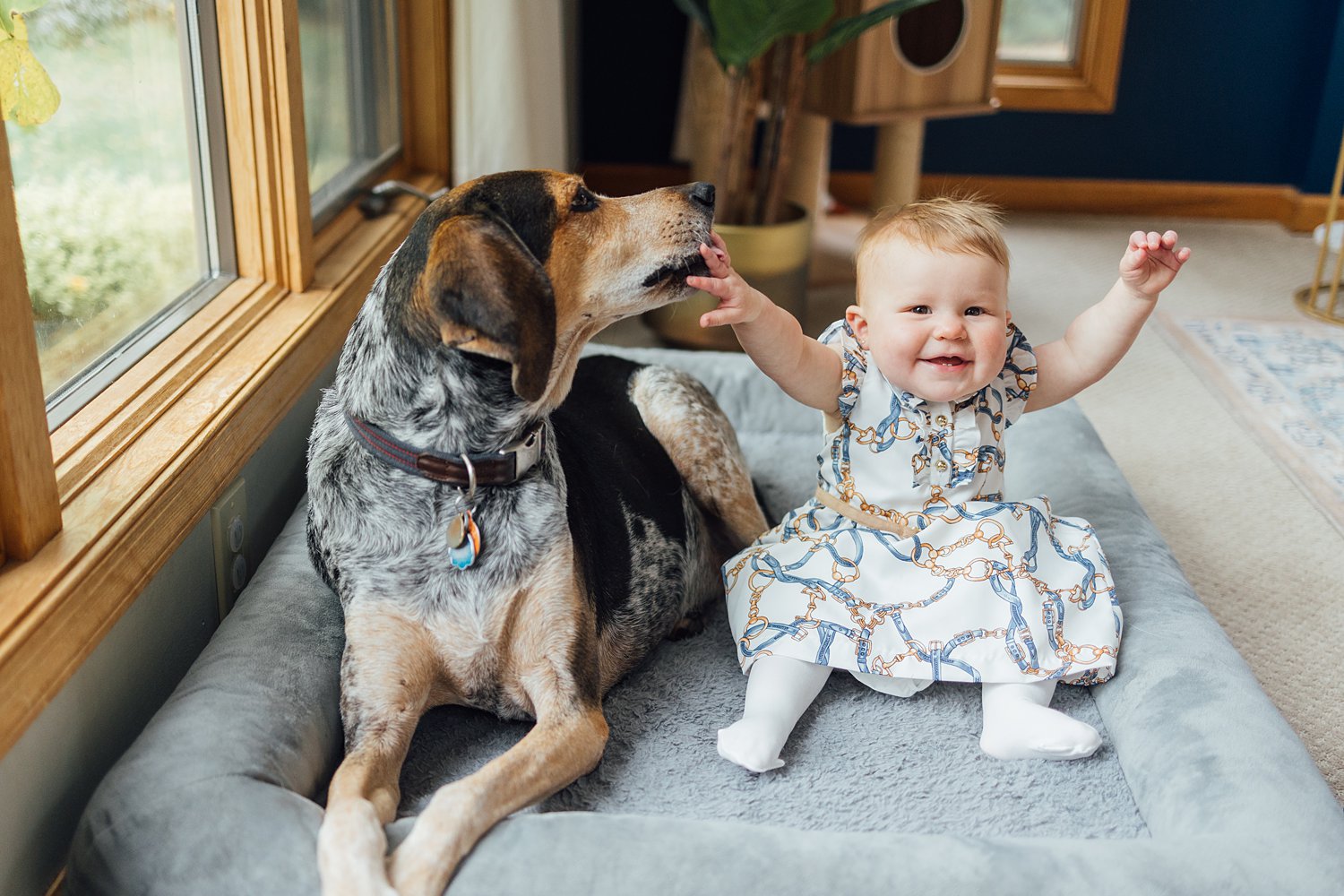 The Cambrias - Shamong In-Home Family Session - New Jersey Lifestyle Family Photographer - Alison Dunn Photography photo