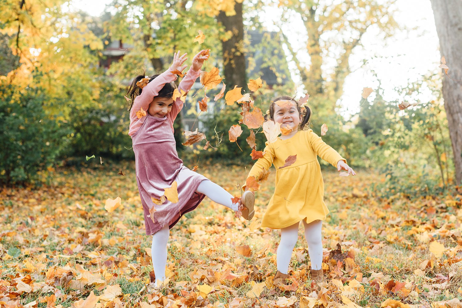 Philadelphia Mini-Sessions - Awbury Arboretum - Maryland Family Photographer - Alison Dun Photography photo