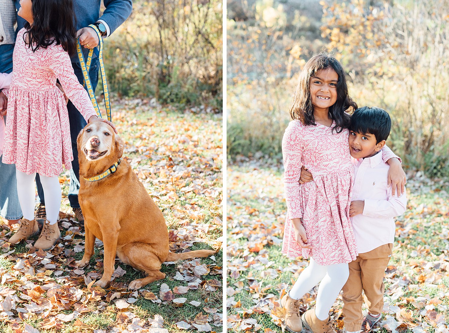 Rockville Mini Sessions - Montgomery County Maryland Family Photographer - Alison Dunn Photography photo