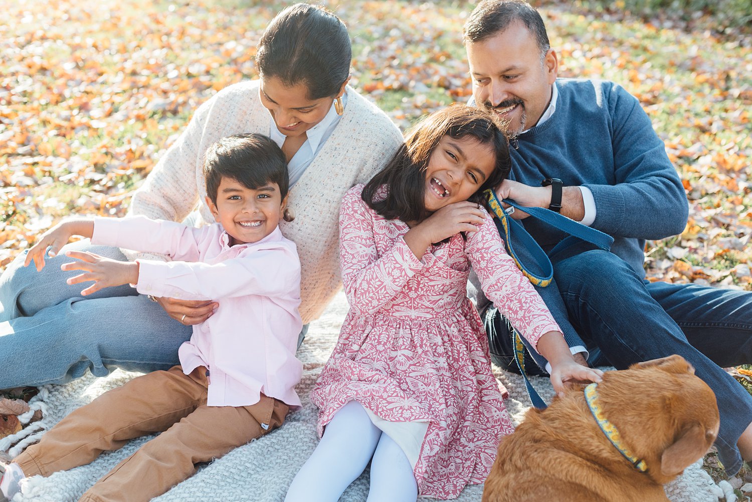 Rockville Mini Sessions - Montgomery County Maryland Family Photographer - Alison Dunn Photography photo