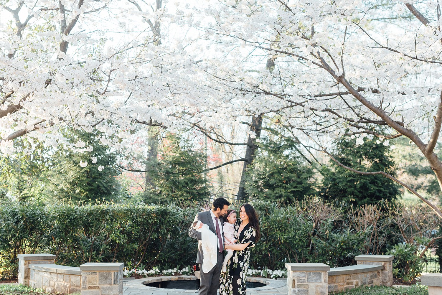 Lauren + Christos - Catholic University Cherry Blossom Family Session - DC Family Photographer - Alison Dunn Photography photo