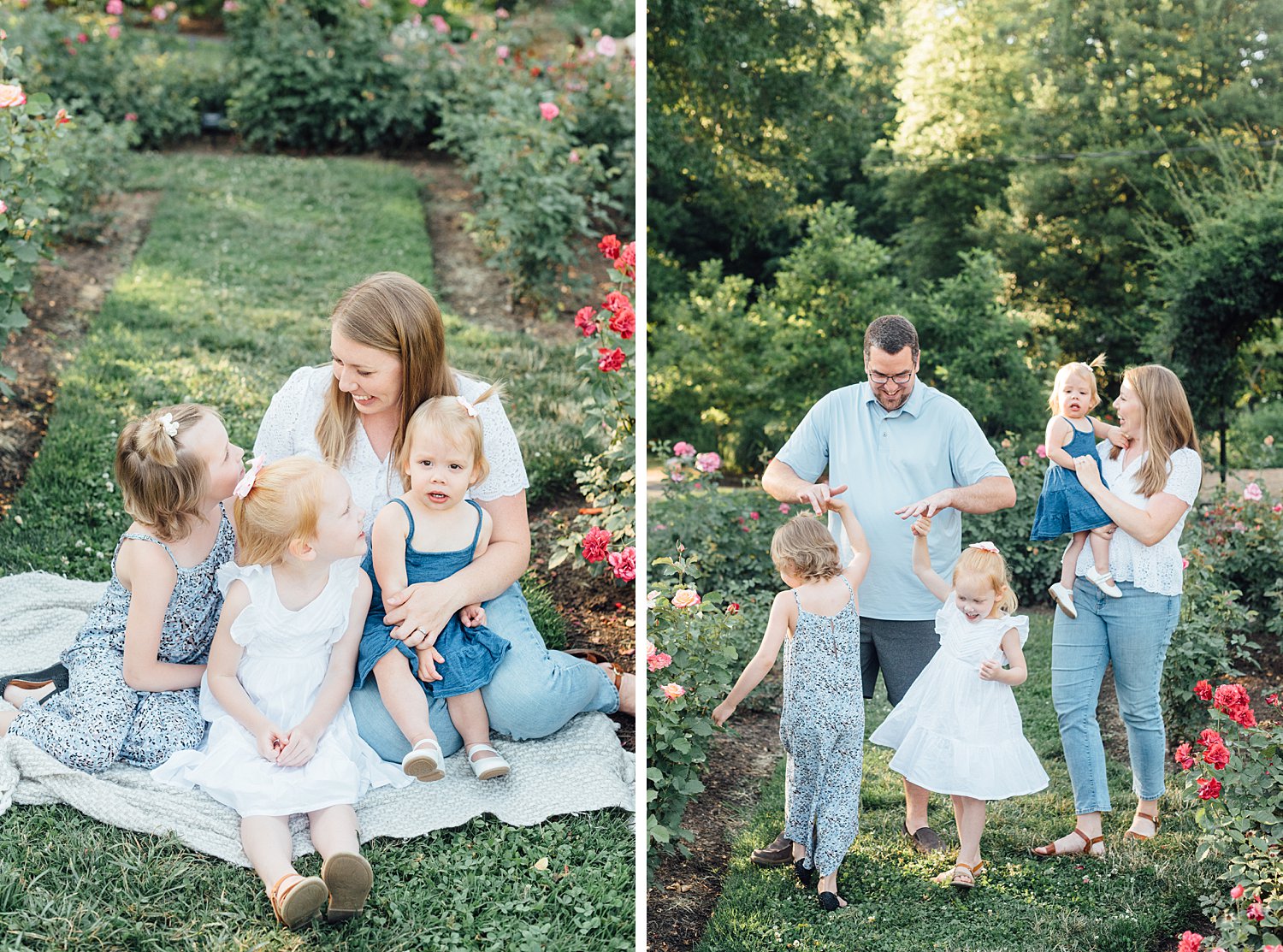 Bon Air Park Rose Garden Summer Mini Sessions - Arlington Virginia Family Photographer - Alison Dunn Photography photo