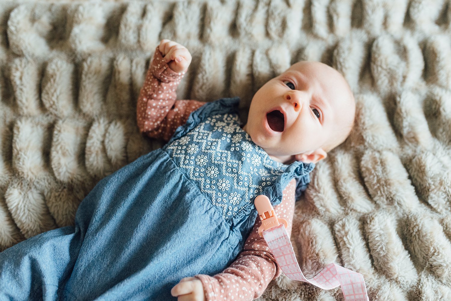 The Robisons - Silver Spring Newborn Session - Montgomery County Family Photographer - Alison Dunn Photography photo