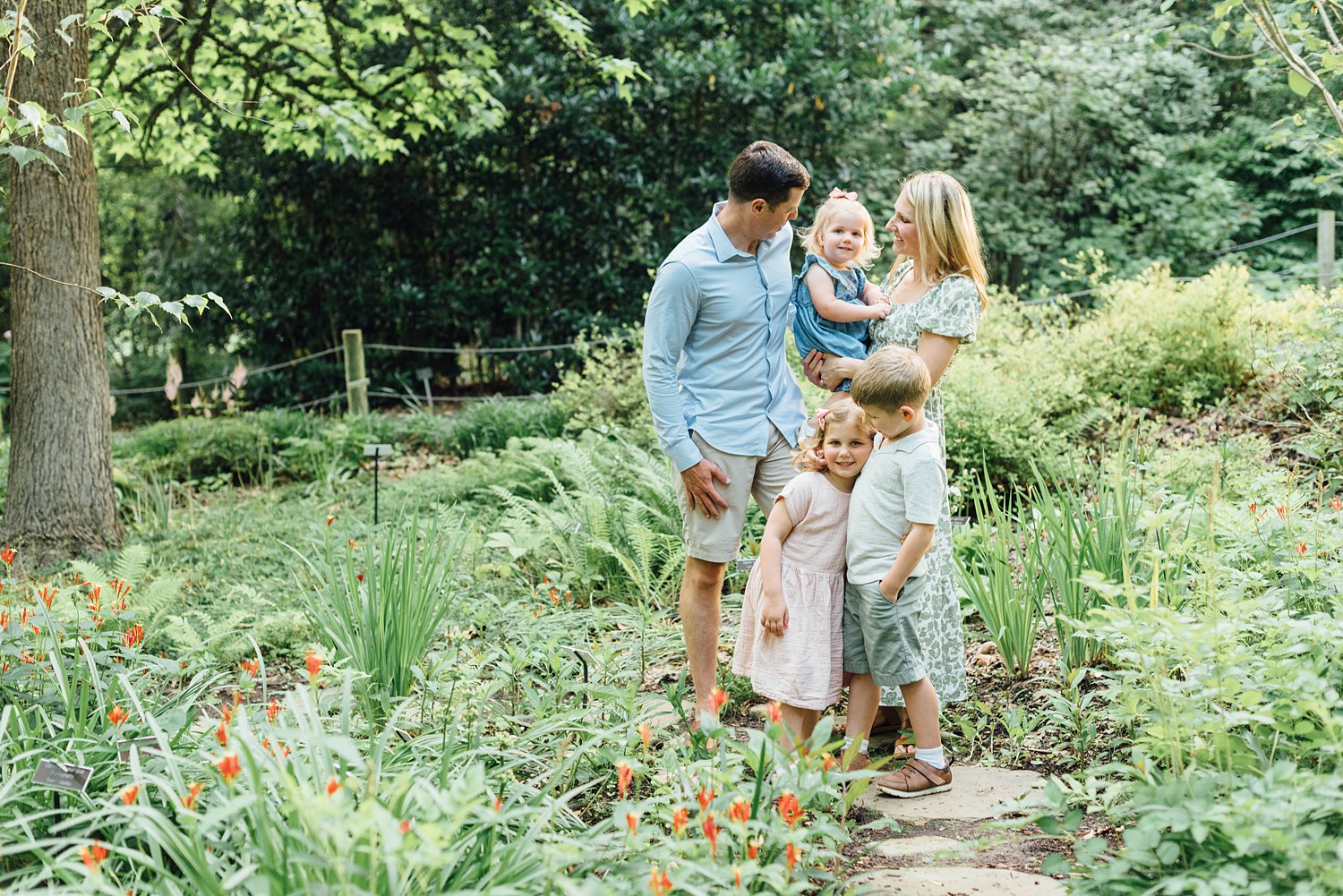 Brookside Gardens Family Mini Sessions - Montgomery County Family Photographer - Alison Dunn Photography photo